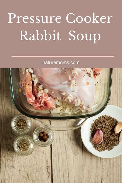 A recipe for rabbit noodle soup made in your instant pot or pressure cooker. Rabbit Recipes Easy Instapot, Instapot Rabbit Recipes, Rabbit Soup, Rabbit Soup Recipe, Instant Pot Rabbit Recipe, Instant Pot Rabbit, Slow Cooker Rabbit, Crockpot Rabbit Recipe, Rabbit Stew Crockpot