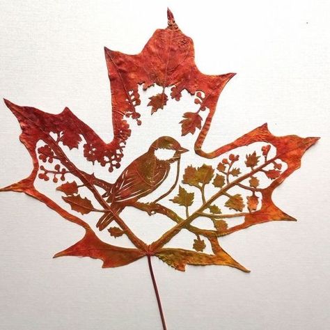 Fall Leaves Tattoo, Maple Leaf Art, Dry Leaf Art, Canadian Humor, French Typography, Light Art Installation, Trippy Iphone Wallpaper, Gold Foil Art, French Canadian