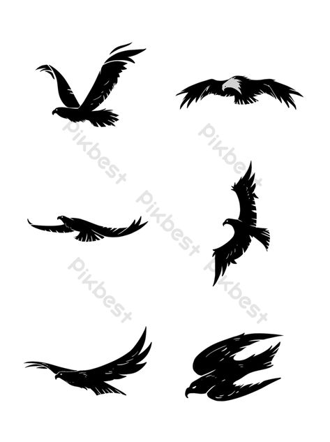 Eagle Black And White, Line Vector, Vector Elements, White Drawing, Eagle Black, Black And White Drawing, Graphic Designers, Graphic Design Templates, Free Graphic Design