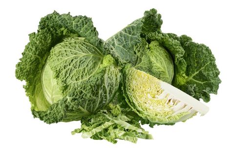 Savoy cabbage with slice isolated on white background with full depth of field stock photo Vector House, Savoy Cabbage, Depth Of Field, White Background, Stock Photos, White