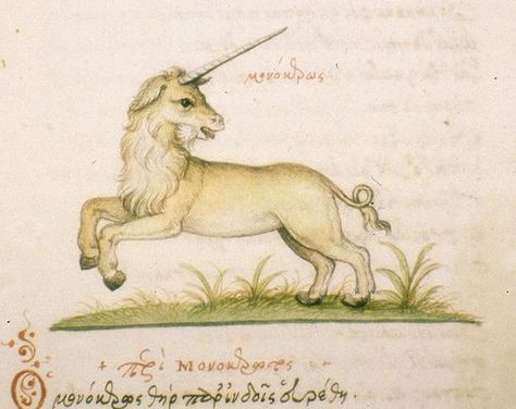 17 Best images about Ancient Unicorns on Pinterest | Lion and ... Ancient Unicorn, Medieval Unicorn, Oxford Ms, Unicorn Pin, Medieval Decor, Ancient Drawings, Medieval Artwork, Real Unicorn, The Last Unicorn