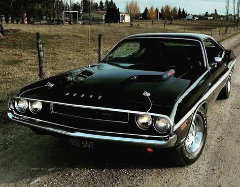 Black 1970 Dodge Challenger Doge Challenger, Black Dodge Charger, Dodge Challenger 1970, Carros Vintage, Plymouth Road Runner, Plymouth Duster, Old Muscle Cars, Dodge Muscle Cars, Mopar Muscle Cars