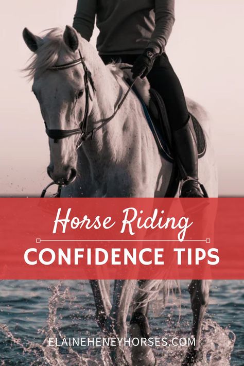 Groundwork Exercises For Horses, Liberty Horse, Horse Training Ground Work, Finding Confidence, Work Exercises, Horse Riding Videos, Month Challenge, Horse Lessons, Dressage Training