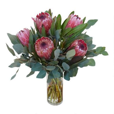 Fresh Pink Ice Protea and Eucalyptus Bouquet | World Market Pink Ice Protea, Eucalyptus Bouquet, Cost Plus World Market, Front Entrances, World Market, Floral Bouquets, Outdoor Pillows, Shopping List, Outdoor Rugs