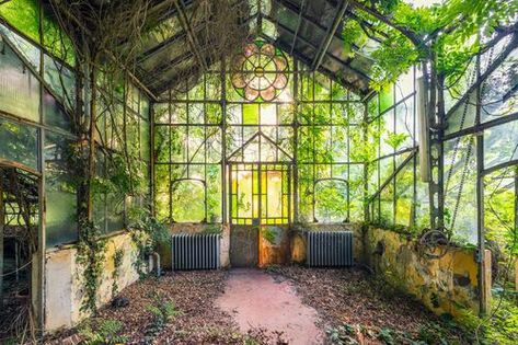 Abandoned Park, Victorian Greenhouse, Victorian Greenhouses, Conservatory Greenhouse, Dream Studio, Hobby Farms, Greenhouses, Abandoned Houses, Glass House