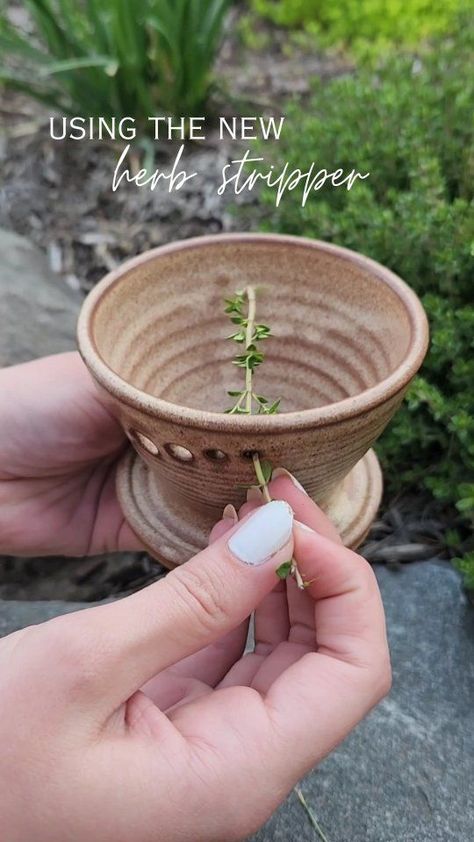 NEW PRODUCT!! The new herb stripper in use! We love how easy this piece makes using and preparing our favorite herbs. Just stick the stem of whatever herb you are using through one of the 5 holes (all different sizes based on the herb) and pull it through allowing the fragrant leaves to fall into the dish. Now you can add to your favorite dishes!! 🌿🍲 • • • • • #pottery #handmadeproduct #shoplocal #shopsmallbusiness #herbstripper #summerproduce #summerproduct #tool #productinuse #herbs #healthy Pottery Herb Pots, Pottery Turning Ideas, Pottery To Sell, Pottery Projects Handbuilt, Ceramic Inspiration Ideas, Wheel Throwing Projects, Advanced Ceramics Projects, Wheel Throwing Pottery, Useful Pottery Ideas