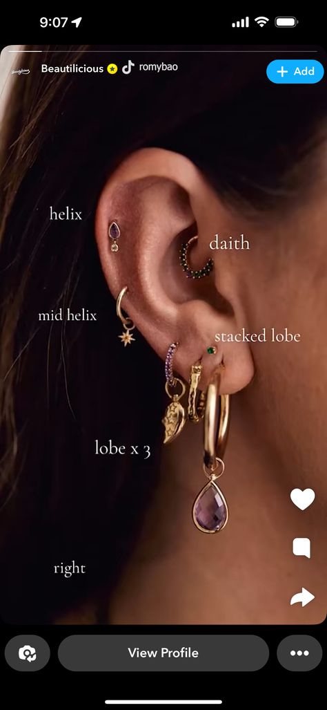 Different Ear Piercings Chart Names, Classy Ear Piercing Ideas, Cartlidge Piercing Placement, Ear Piercing Placement Chart Names, Ear Piercing Names Chart, Earings Piercings Names, Different Ear Piercings Chart, Earring Placement Ideas, Ear Piercings Names