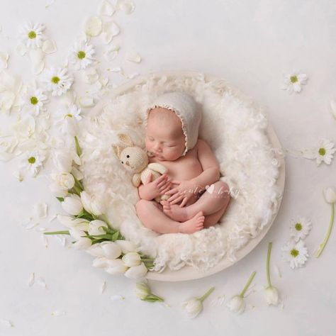 White Digital Background with flowers and neutral colors for newborn photography Baby Holiday Photos, Background With Flowers, Baby Boy Newborn Photography, Baby Pictures Newborn, Baby Photoshoot Boy, Newborn Baby Photoshoot, Baby Boy Photography, Newborn Baby Photos, Baby Boy Photos