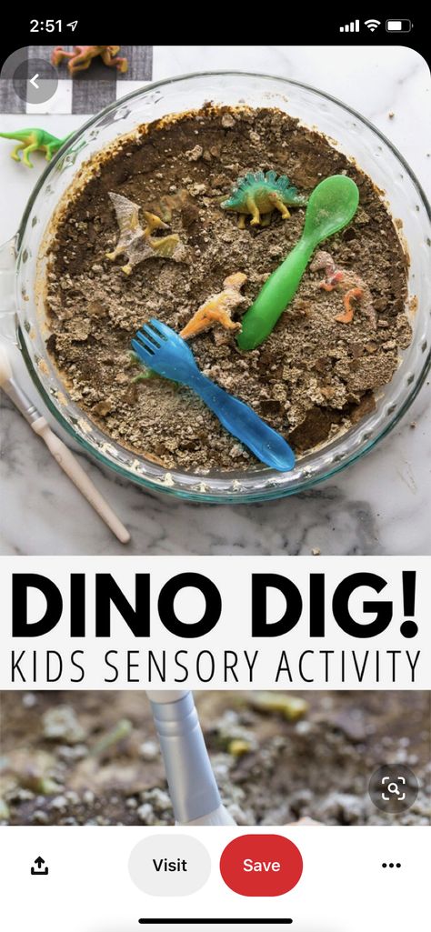 Fossils Activities, Dinosaur Activity, Kids Gratitude Journal, Kids Sensory Activities, Dinosaur Activities Preschool, Dino Dig, Gratitude Journal For Kids, Dinosaur Projects, Dinosaur Dig