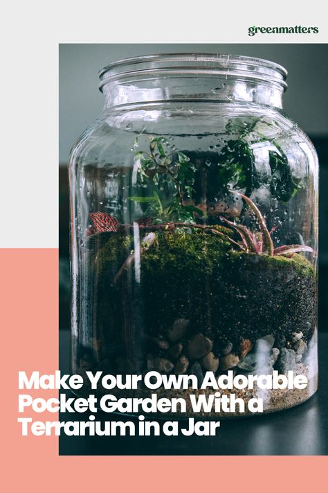 Looking for a rainy day activity? Build your own tiny indoor garden with this step-by-step process of how to make a terrarium in a jar. Terrarium In A Jar, Make A Terrarium, Rainy Day Activity, Terrarium Jar, Pocket Garden, Rainy Day Activities, In A Jar, A Rainy Day, Indoor Garden