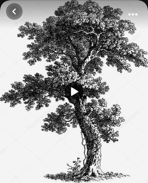 Landscape Drawing Tutorial, Pencil Tree, Landscape Pencil Drawings, Pencil Trees, Tree Drawings Pencil, Nature Sketch, Tree Sketches, Manga Drawing Tutorials, Landscape Sketch