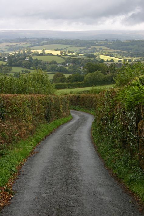 U.K. Hedgerows, Narrow roads of Dartmoor National Park, Devon, England Perspective Examples, Country Sides, Countryside Life, English Cottages, Gorgeous Places, Dartmoor National Park, Belle Nature, Devon England, Tree Images