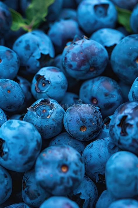 Fresh blueberry background, texture blueberry berries close up, macro. royalty free stock photography Blueberry Background, Vector Banner, Background Texture, Blue Background, Textured Background, Stock Photography, Close Up, Royalty, Royalty Free