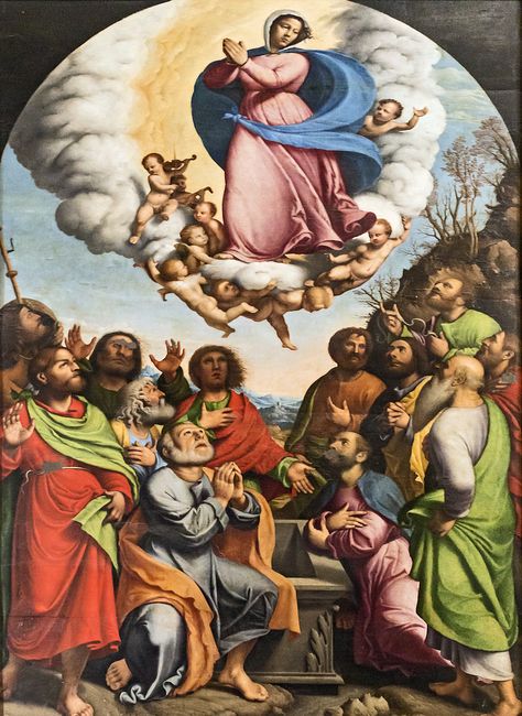 Assumption of the Virgin by Domenico Capriolo, 1520 Assumption Of The Virgin, 16th Century, Painter, Art