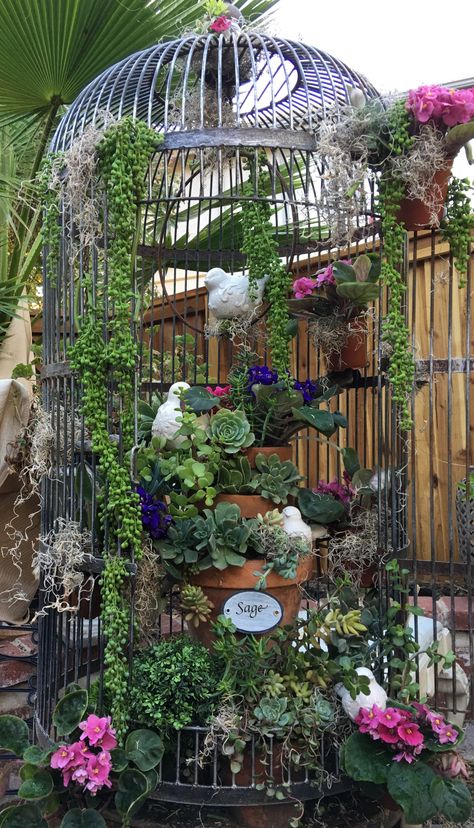 Vintage Bird Cage Decor, Birdcage Planter, Plant Cages, Large Bird Cages, Garden Art Ideas, Succulent Garden Diy, Bird Cage Decor, Vintage Bird Cage, Garden Decor Projects