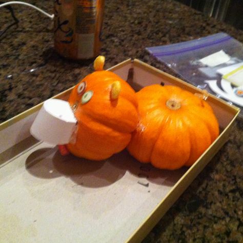 Hungry Hippo Pumpkin Pumpkin Carving Pattern, Hungry Hippos, Pumpkin Carving Patterns, Pumpkin Carving, Picture Perfect, Carving, Pattern