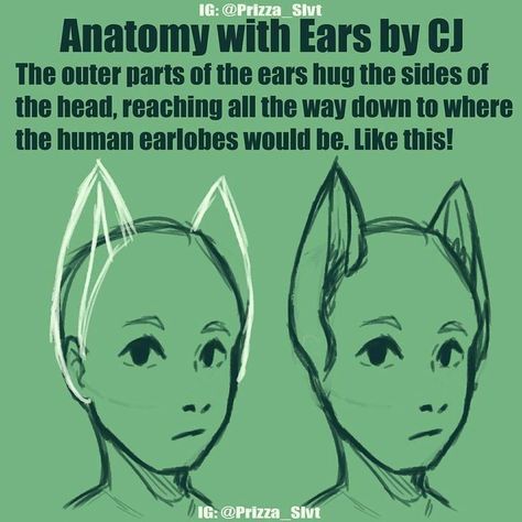 Ears Drawing, Anime Cat Ears, How To Draw Ears, Human Figures, Drawing Animals, Arte Inspo, Animal Ears, Art Tutorials Drawing, Drawing Base