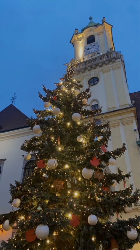 A big pretty Christmas tree infront of a beautiful building Christmas 2023, Bratislava, Vision Board, Christmas Tree, Christmas, Natal