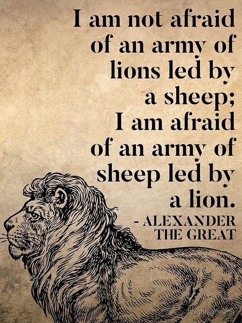 Leadership Poster, Alexander The Great Quotes, Smart Man, I Am Not Afraid, A Sheep, Warrior Quotes, Alexander The Great, Badass Quotes, Leadership Quotes