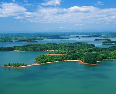 Hartwell | Lake Hartwell Tourism | discoverhartwell Lake Hartwell, Weekend Camping, Southern Travel, Anderson Sc, Lake Living, Summer Lake, Georgia Usa, Beautiful Lakes, Lake Life