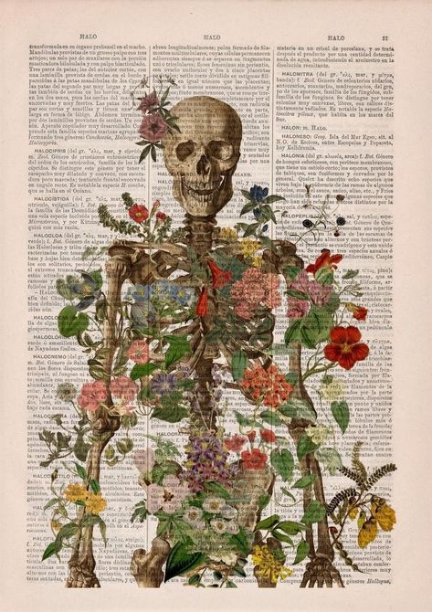 Vintage Medical Art, Anatomy Wall Art, Flower Skeleton, Skeleton Human, Biology Poster, Art Anatomy, Skeleton Flower, Gcse Art Sketchbook, Biology Art