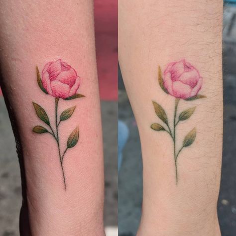 Fresh Vs Healed Tattoo, Healed Tattoo, Peonies Tattoo, Tattoo Ink, Tattoo Inspo, Color Tattoo, Ink Tattoo, Body Art, Tattoos