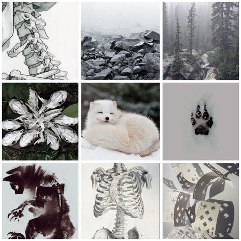 Ice Moodboard, Fox Moodboard, Adopt Idea, Monster Theme, Fantasy Story, Mood Board Inspiration, Arctic Fox, Color Palette Design, Mood Board Design