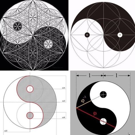 Nassim Haramein on Instagram: ““The keystone of the entire structure of the spiritual and physical universe is Rhythmic Balanced Interchange between all opposites.” –…” Piatra Neamt, The Tao, Yin And Yang, Light And Dark, Sacred Geometry, Yin Yang, Laos, Buddhism, Tao