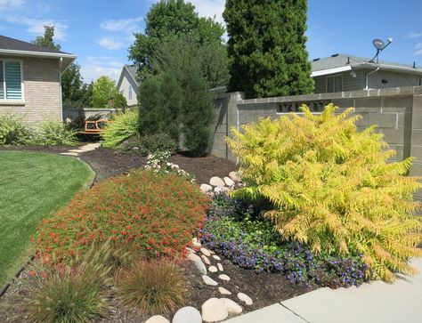 Localscape Utah, Utah Landscape Ideas Front Yards, Utah Native Landscaping, Utah Landscape Ideas, Utah Plants, Utah Landscaping, Replace Lawn, Yard Makeover, Utah Desert