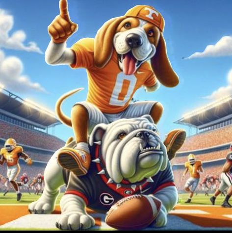 Tennessee College Football, Tennessee Mascot, Tn Vols Football, Tn Football, Ut Football, Rocky Top Tennessee, Tennessee Volunteers Football, Happy Halloween Pictures, Tn Vols