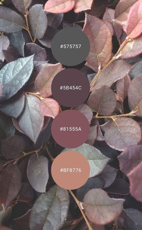 Tea Colour Palette, Witchy Palette, Victorian Colour Palette, Witchy Color Palette, Victorian Color Palette, Yoga Branding Design, Victorian Colors, Bohemian Curtains, Color Crush