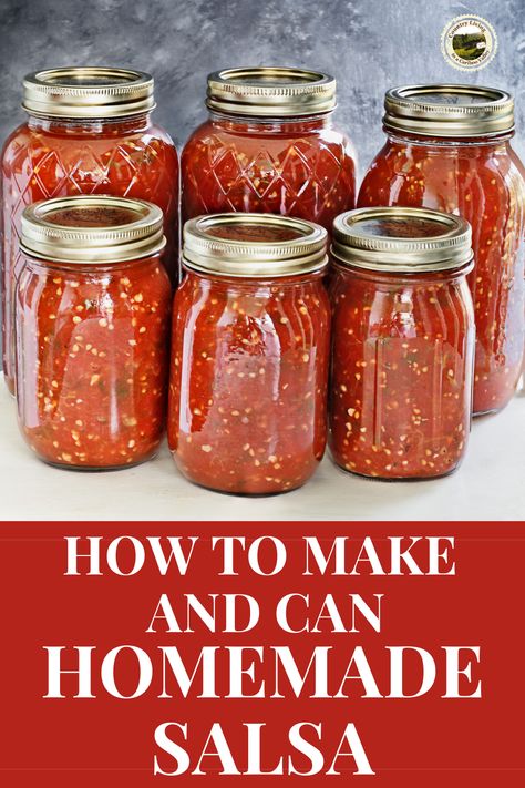 Home Made Salsa Recipe, Salsa To Can, Home Made Salsa, Canning Homemade Salsa, Canned Salsa Recipes, Salsa Canning Recipes, Best Salsa Recipe, Canning Tomatoes Recipes, Best Salsa