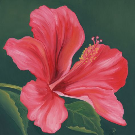 Pua Flower, Hibiscus Oil, Beach Art Painting, Hibiscus Plant, Canvas Drawing, Pink Hibiscus, Beach Art, Art Drawings Simple, Floral Art