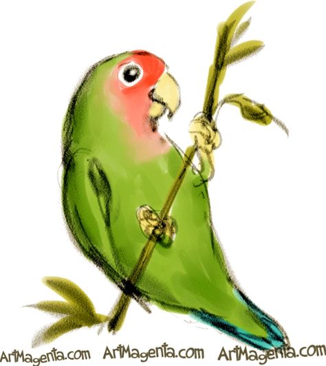 love birds pictures Arizona | Rosy-faced Lovebird sketch painting. Bird art drawing by illustrator ... Love Bird Drawing, Lovebird Drawing, Love Bird Painting, Love Birds Drawing, Lovebirds Art, Birds Pictures, Parrot Painting, Parrots Art, Bird Paintings