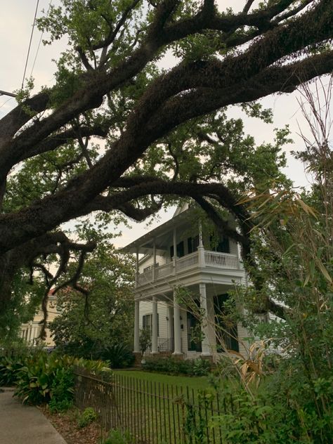 Southern Gothic Southern City Aesthetic, Willow Creek Aesthetic, New Orleans Louisiana Aesthetic, Southern Town Aesthetic, Nova Orleans Aesthetic, Deep South Aesthetic, Vintage New Orleans Aesthetic, Tulane Aesthetic, Creole Aesthetic