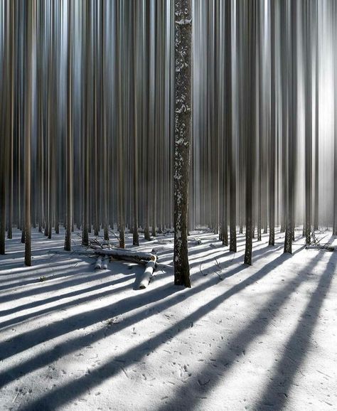 People Are Sharing Examples Of "Liminal Spaces" That Are Unsettling Yet Familiar At The Same Time (56 Pics) | Bored Panda Altered Reality, Infinity Room, Liminal Space, Liminal Spaces, Phone Box, House On The Rock, Space Pictures, Other Space, My Favorite Image