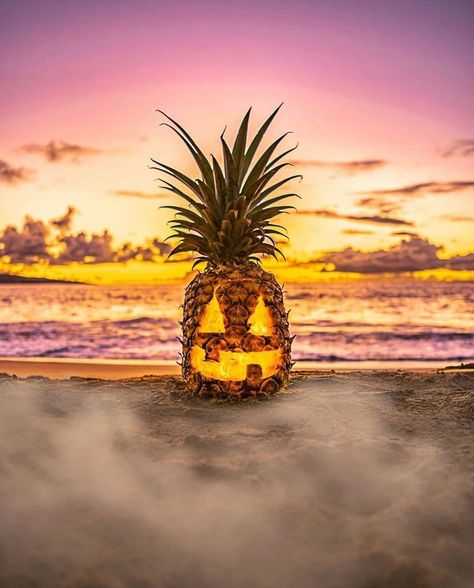 THE PINEAPPLE EVERYTHING on Instagram: “IT’S A PINEAPPLE HALLOWEEN!🎃🍍 🎃🍍🎃🍍 Use the code: SPOOKY10 at checkout for a spooktacular surprise today! 📸 @bayday808” Hawaii Halloween, Pineapple Halloween, Hyatt Regency Maui, Maui Resorts, Hawaii Style, Reed Diffusers, Hyatt Regency, Holiday Pictures, Fall Halloween Decor