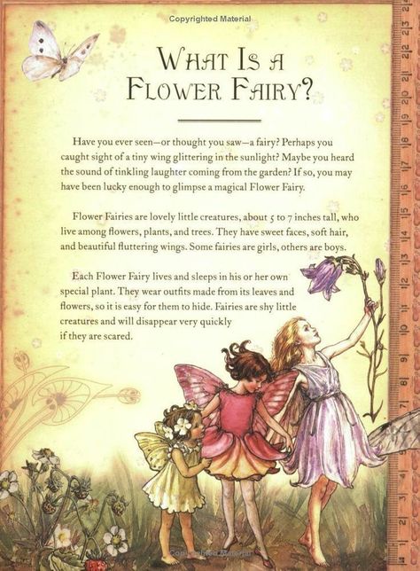 Fairy Garden Drawing, Fairy Quotes, Seni Vintage, Fairy Illustration, Elves And Fairies, Garden Drawing, Fairy Pictures, Cicely Mary Barker, Vintage Fairies