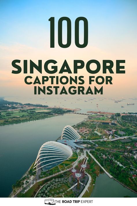 Enjoy this awesome list of the best Singapore Captions for Instagram. Singapore Quote, Captions For Instagram Photos, Merlion Singapore, Singapore Vacation, Vacation Captions, Holiday In Singapore, Singapore River, Singapore Zoo, Singapore Botanic Gardens