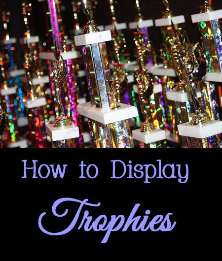 photo courtesy of GollyGForce flickr.com/photos/see-through-the-eye-of-g/7047477465/ Small Trophy Room Ideas, Trophy Wall Design, Trophy Organization Ideas, Trophies Display Ideas, How To Display Trophies, Dance Trophy Display Ideas, Trophy Organization, Bedroom Trophy Display Ideas, Trophy Display Ideas Living Room