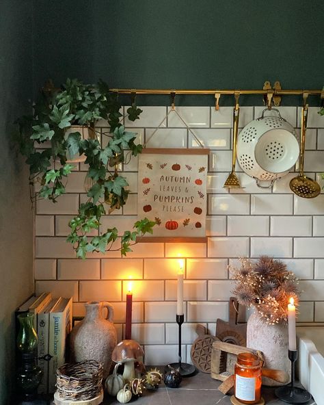 The kitchen is feeling super cozy. Just the way I love it. #retreattothemountains #renovatinginitaly #renovation #ristrutturazione #kitchendecor #autumnvibes #falldecor #pumpkinseverywhere #mushrooms #conkers #seasonaldecor #timetodecorate #italianadventure #cottagecore #cozyhome #dowhatmakesyouhappy #campigliacervo #mountainlife #italy Witchy Kitchen, Mountain Life, What Makes You Happy, Just The Way, Fall Vibes, I Love It, Cozy House, Autumn Leaves, The Kitchen