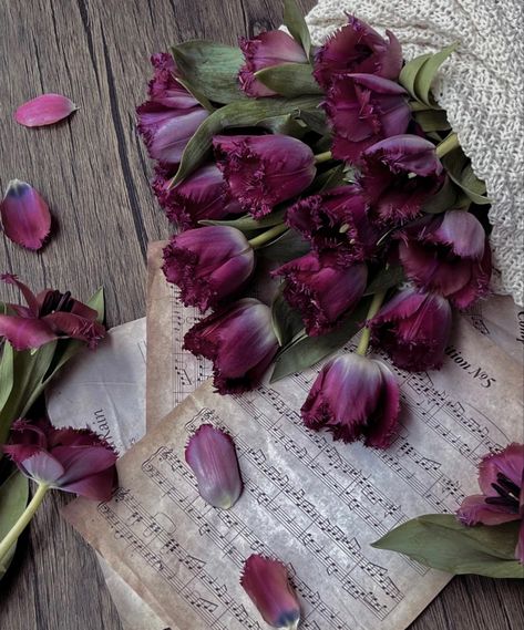 Fluffy Flowers, Rose Aesthetic, Magenta Rose, Rosé Aesthetic, Purple Tulips, Flower Shop, Tea Time, Peonies, Aesthetic Wallpapers