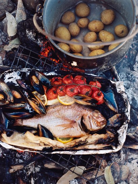 Catch And Cook, Mussels Recipe, Donna Hay, Baked Tomatoes, Grilled Seafood, Fish Fry, Fire Cooking, Fish Food, Campfire Cooking