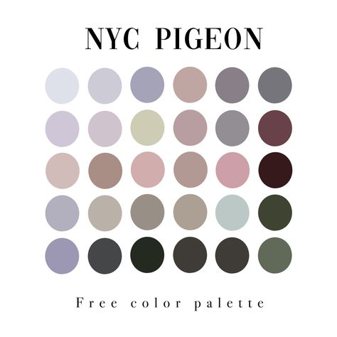 A color palette inspired by the pigeons of New York City. Pigeon Color Palette, Architecture Drawing Color Palette, New York Color Palette, Pigeon Color, Nyc Pigeon, Color Seeds, Pallete Color, Procreate Palettes, Jojo Characters