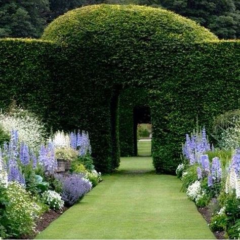 Blue and white formal garden Formal Garden Design, Garden Design Layout, Formal Garden, Cottage Gardens, Secret Gardens, Have Inspiration, Formal Gardens, White Gardens, Gorgeous Gardens