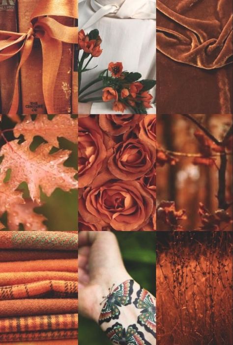 Burnt Orange Asthetics, Burnt Orange And Green Aesthetic, Earthy Green And Orange Aesthetic, Burnt Orange Mood Board, Burnt Sienna Aesthetic, Brown Orange And Green Aesthetic, Dark Green And Burnt Orange, Burnt Orange Aesthetic Quotes, Burnt Orange Aesthetic