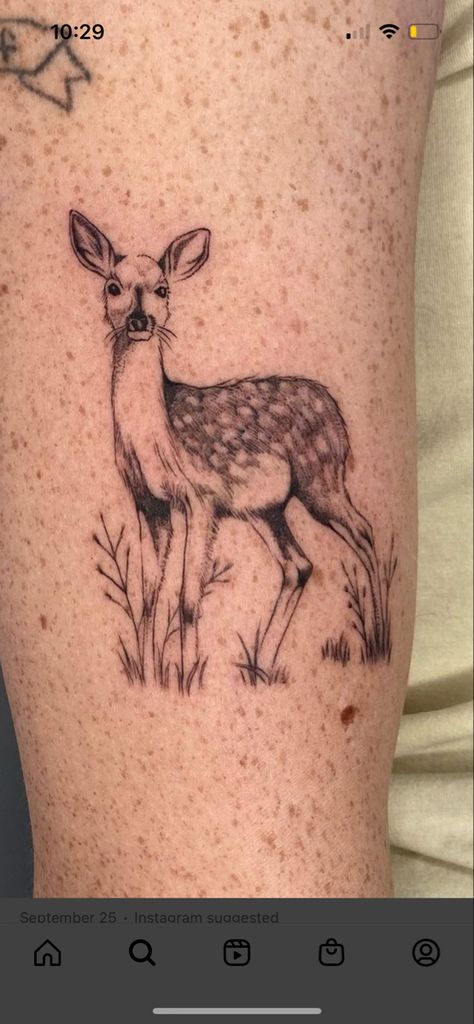 Black And Grey Deer Tattoo, Life Is Strange Deer Tattoo, Forest Animals Tattoo, Deer Tattoo Ideas, Life Is Strange Tattoo, Baby Deer Tattoo, Fawn Tattoo, 24 Tattoo, Doe Tattoo