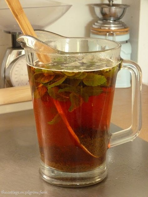 Cottage Life on Pilgrim's Farm: Anise Hyssop Tea... Flavored Teas, Anise Hyssop, Foraging Recipes, Foraged Food, Garden Herbs, Iced Tea Recipes, Cottage Life, Flower Food, Wild Food