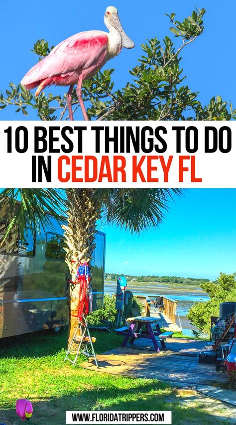 10 Best Things to Do in Cedar Key FL Cedar Key Fl, Cedar Key Florida, Key West Vacation, Beach Vacation Spots, Cedar Key, Key West Vacations, Travel Florida, Florida Life, Florida Restaurants