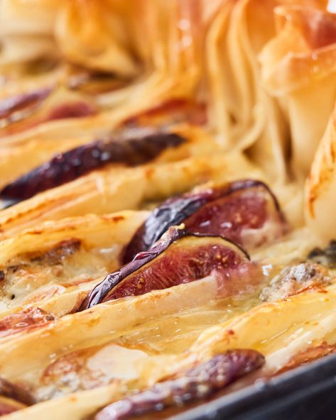 Phyllo Brie, Fig Recipes Fresh, Filo Pastry Pie, Philo Dough, Filo Pie, Cheese Puff, Brie Recipes, Gorgonzola Cheese, Fig Recipes